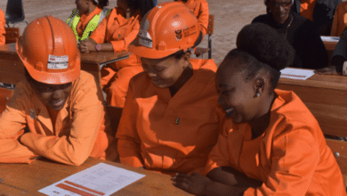 EPWP vs SETA Learnerships