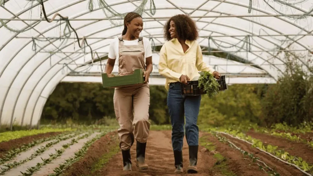 UNIVEN–AgriSETA Paid Work Integrated Learning (WIL) Programme 2026