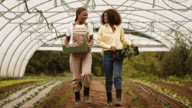 UNIVEN–AgriSETA Paid Work Integrated Learning (WIL) Programme 2026