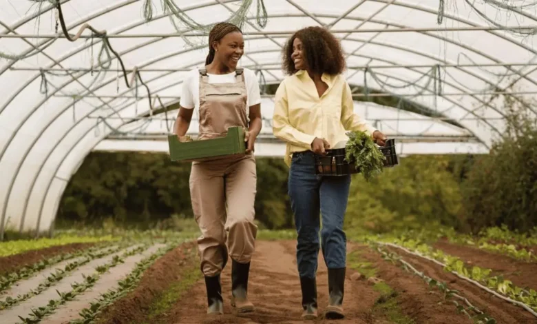 UNIVEN–AgriSETA Paid Work Integrated Learning (WIL) Programme 2026