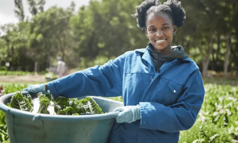 Limpopo Department of Agriculture AgriSETA Internships 2026