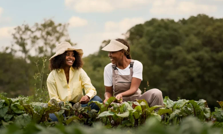 Majuba TVET College Mixed Farming Skills Programme 2026